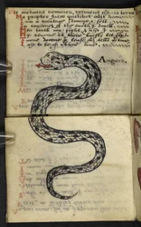 Game-book