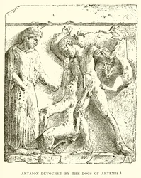 Aktaion Devoured by the Dogs of Artemis