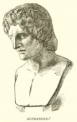 Alexander