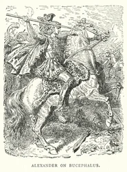 Alexander on Bucephalus