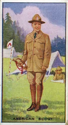 American Scout