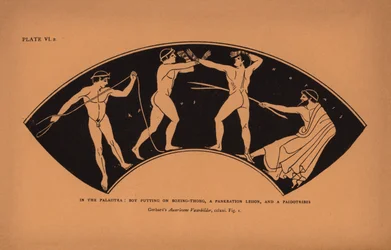 Ancient Greek Education: In the Palaistra