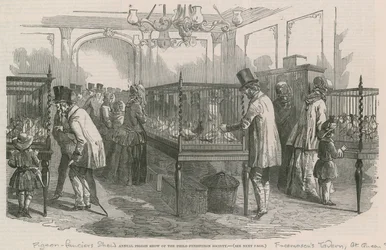 Annual Pigeon Show of the Philio-Peristeron Society