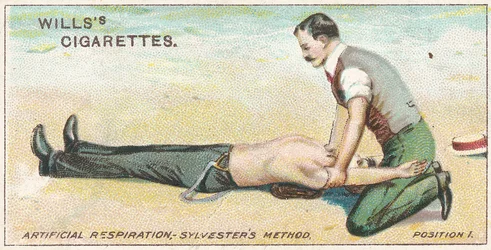 Artificial Respiration, Sylvester