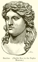 Bacchus (Marble Bust in the Naples Museum)