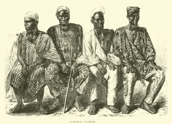 Bambarra Pilgrims