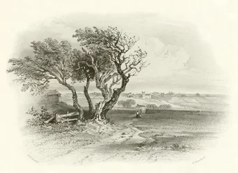 Battle field of Prestonpans