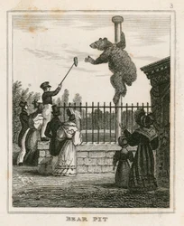 Bear Pit, London Zoological Gardens, Regents Park