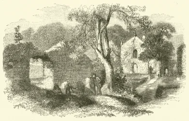Bindon Abbey