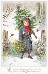 Boy Carrying Christmas Tree over Shoulder