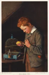 Boy with his dead pet canary