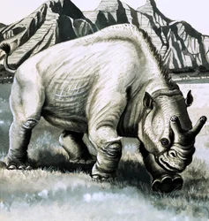 Brontotherium from the Oligocene Age