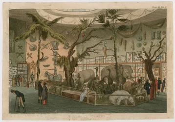 Bullocks Museum
