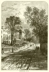 Camberwell Grove