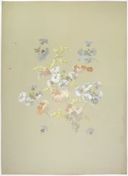 Carpet Design
