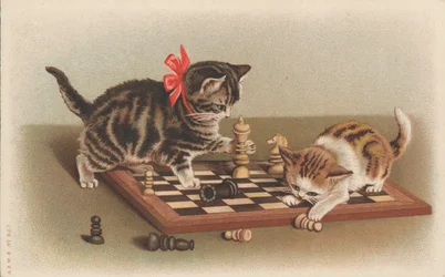 Cats Playing Chess