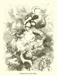 Charles II in the Oak