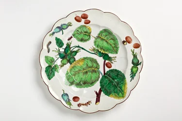 Chelsea plate decorated with botanical illustration of nuts, insects and leaves, 1755