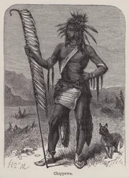 Chippewa