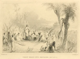 Christ Riding into Jerusalem, Matthew XXI