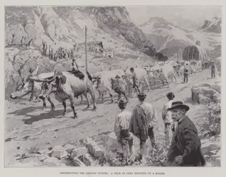 Constructing the Simplon Tunnel, a Team of Oxen bringing up a Boiler