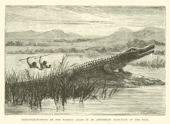 Crocodile-Hunting by the Hamran Arabs in an Abyssinian Tributary of the Nile