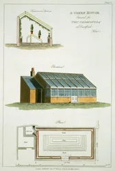 Design for A Green House, executed for Thomas Caldecott at Dartford, Kent, 1806