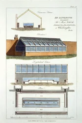 Design for An Aquarium, executed for The Marquis of Blandford at Whiteknights, 1806