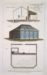 Design for a Greenhouse for J. E. Liebenrood at Prospect Hill