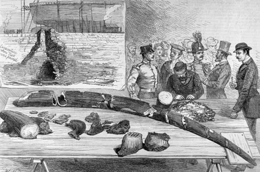Discovery of Fossil Remains at Leghorn, Tuscany