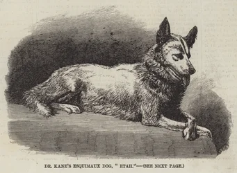 Dr Kane