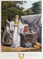Druid - in 