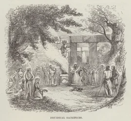 Druidical sacrifices