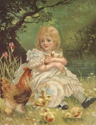 Ducklings