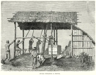 Dyaks Building a House
