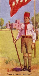 Egyptian Scout