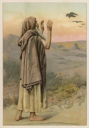 Elijah and the ravens