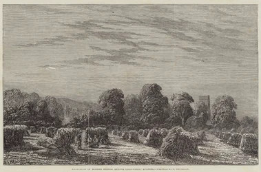 Exhibition of Modern British Art, a Corn-Field, Evening