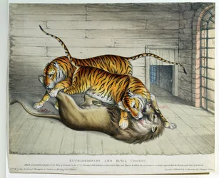 Extraordinary and Fatal Combat, 1830