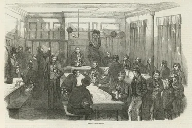 Fancy Dog Show in Denmark Street