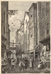 Field Lane