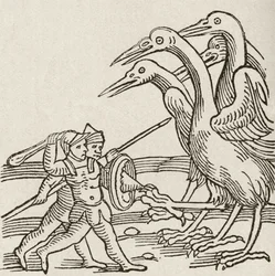 Fight between Pygmies and Cranes. A story from Greek mythology. From The Strand Magazine published 1897.