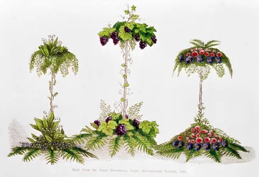 First Prize for Table Decoration, Royal Horticultural Society