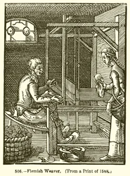 Flemish Weaver