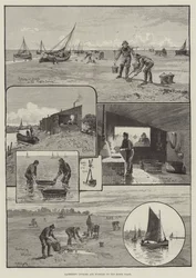 Gathering Cockles and Winkles on the Essex Coast