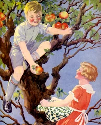 Gathering the Apple Crop