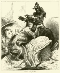 Gelert Killing the Wolf
