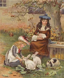 Girls caring for their pet rabbits