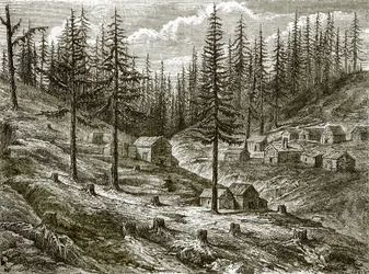 Grass Valley Diggings