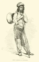 Gypsy, Atzigan of Bulgaria